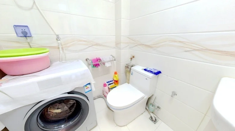 Taiwan Garden - View 8