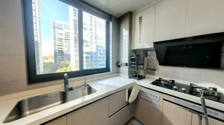 Shimao Brilliant Future - View 8