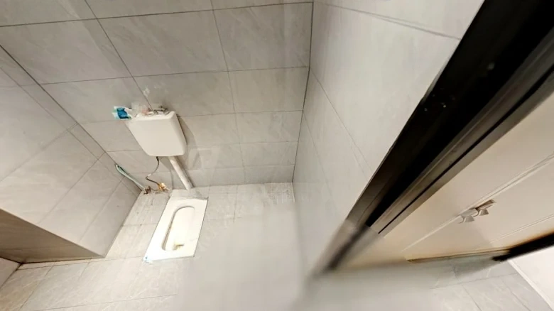 Oriental Hibiscus - View 7