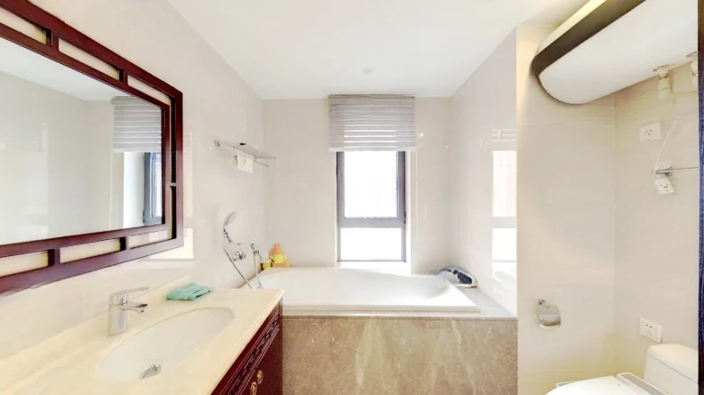 Shimao Xin Wu Li River - View 10