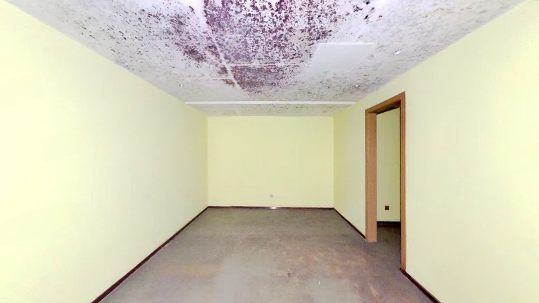 Cloud Horizon Eastern - View 2