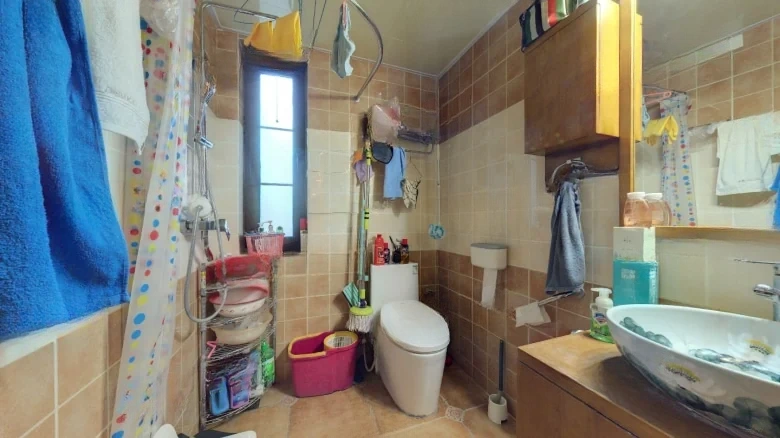 Sunshine Yard Above - View 13