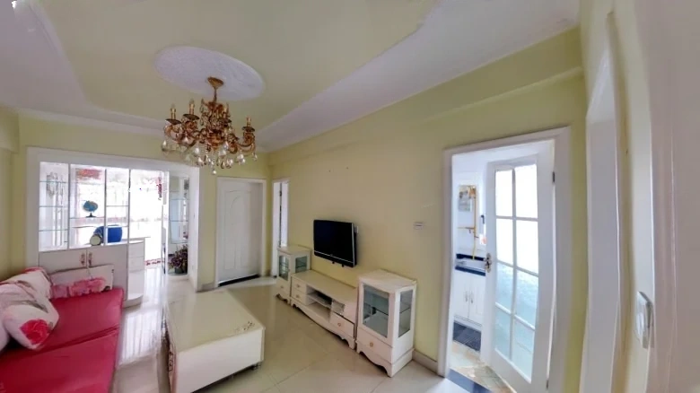 Phoenix Perch Paulownia - View 7