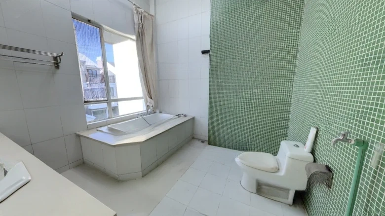 Ruijing Wenhua - View 10