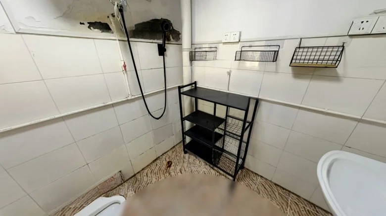 New Port Dragon Family Happiness Code - View 13