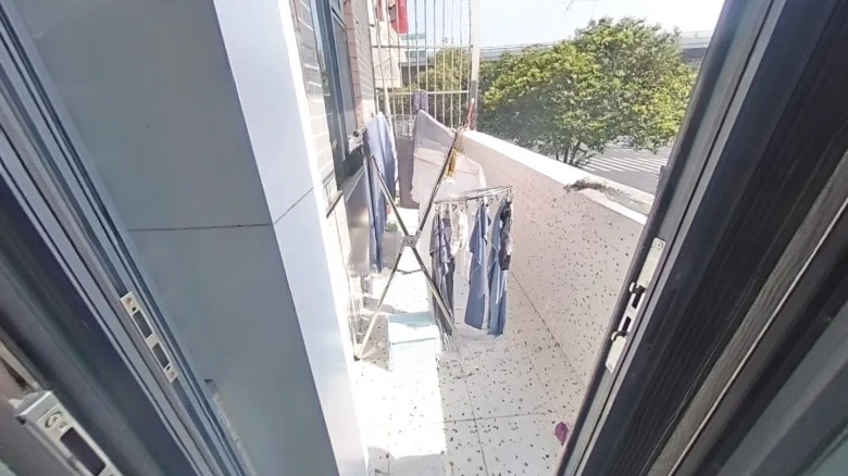 White Egret Eastern Garden - View 14