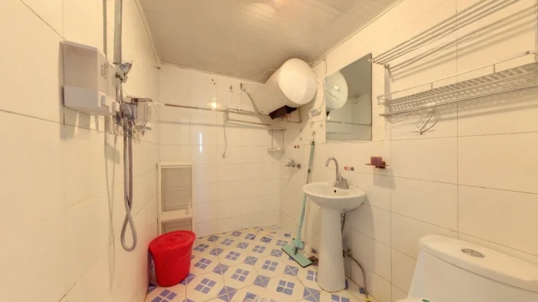 Golden Cicada Grove - View 11