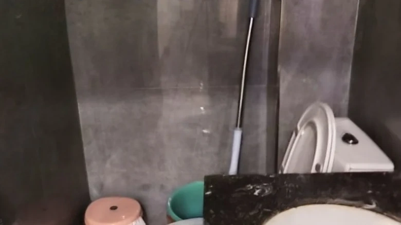 New City Garden - View 10