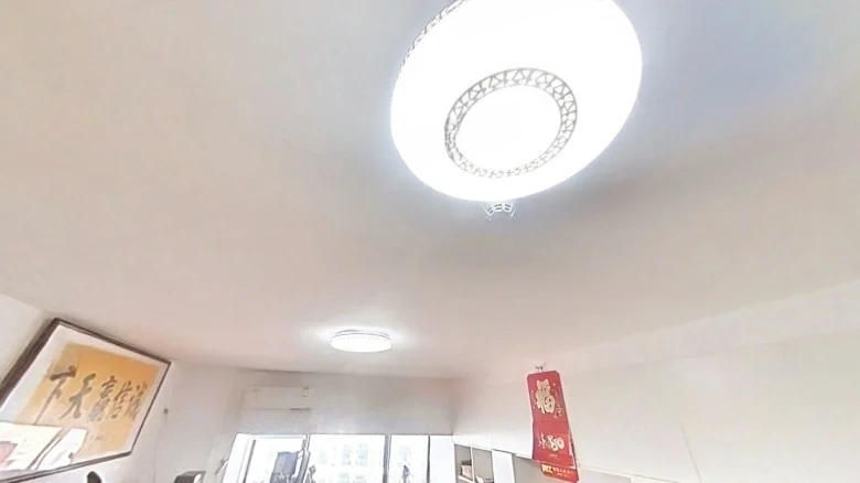 Xin Ye Joy Dome - View 2