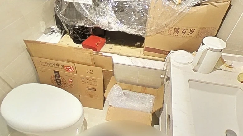 Zhongxin Fengyue City - View 8