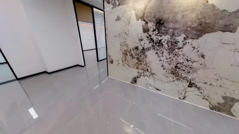 Hua Du Nine Dragons Square - View 8