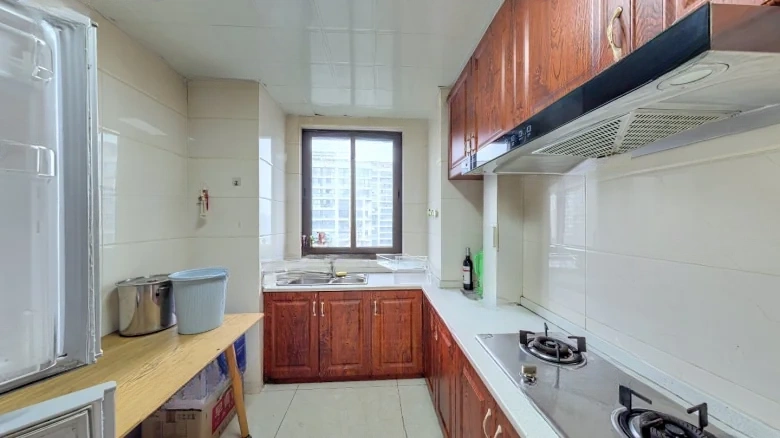 Smoothly Arrived South of the River Elegant Brocade - View 7