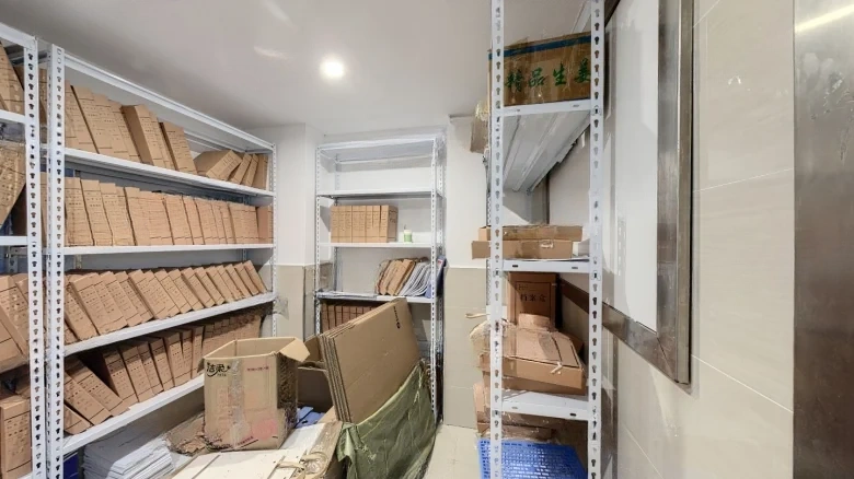 Guanyin Bridge Cosmo - View 3