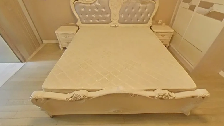 Hua Yuan Swan Castle - View 3