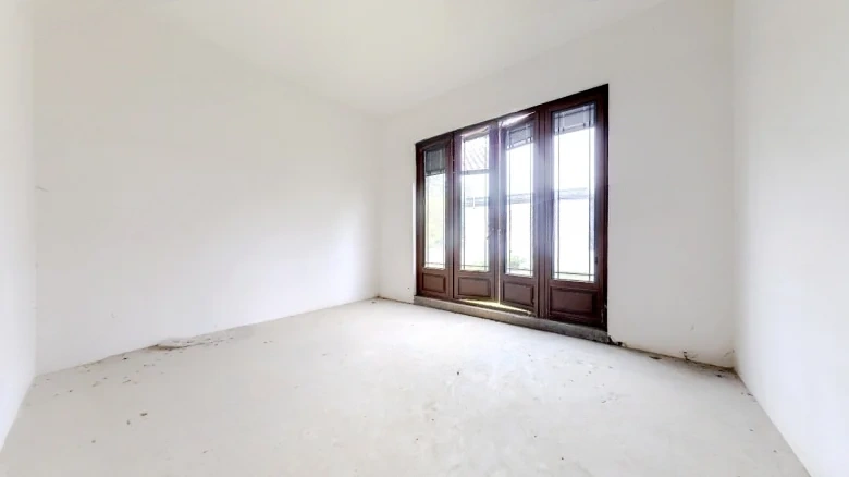 Phoenix Perches on the Parasol Tree - View 4