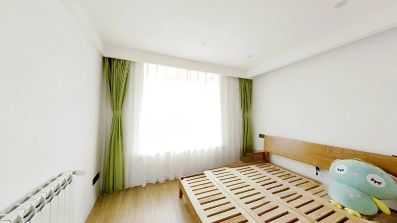 Junshan Garden - View 7