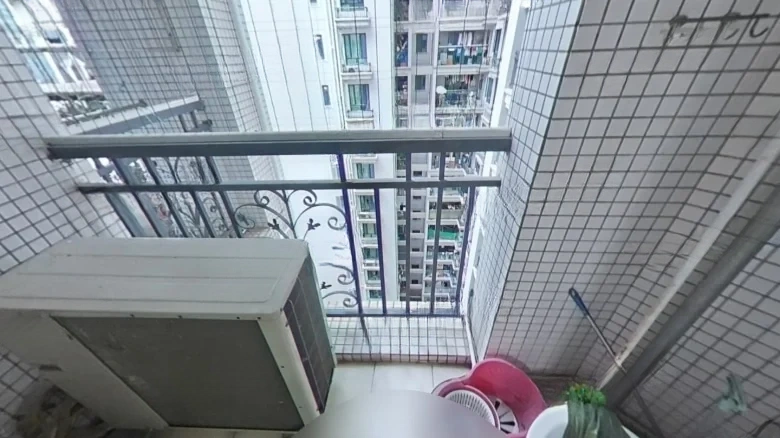 Poly Champagne Garden - View 12