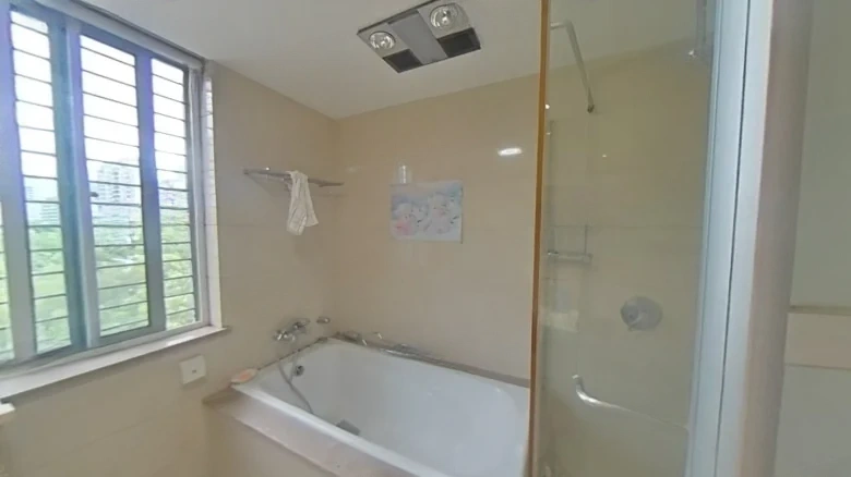 Silver City West Bank International District III - View 12