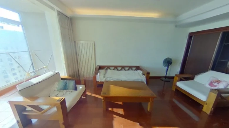 Jin Guang Metropolitan Masterpiece - View 11