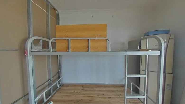 Golden Dragon Coiled Family Garden - View 2