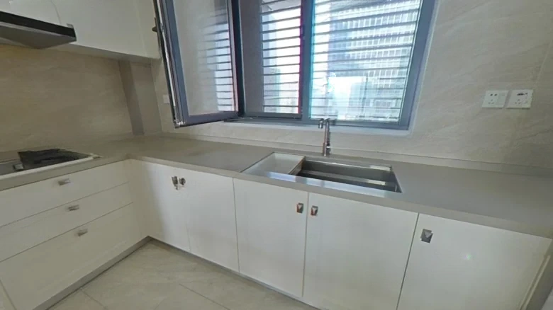 Zhongxin Fengyue City - View 7