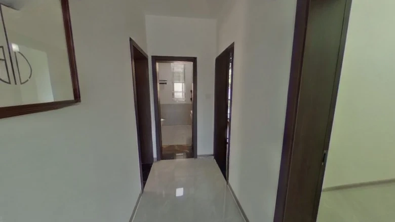 Blue Mountain Beauty Trees - View 19