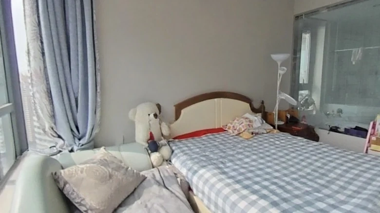 Evergrande Park Avenue - View 2