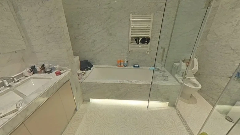 Xinxiang D10 Tianfu - View 9