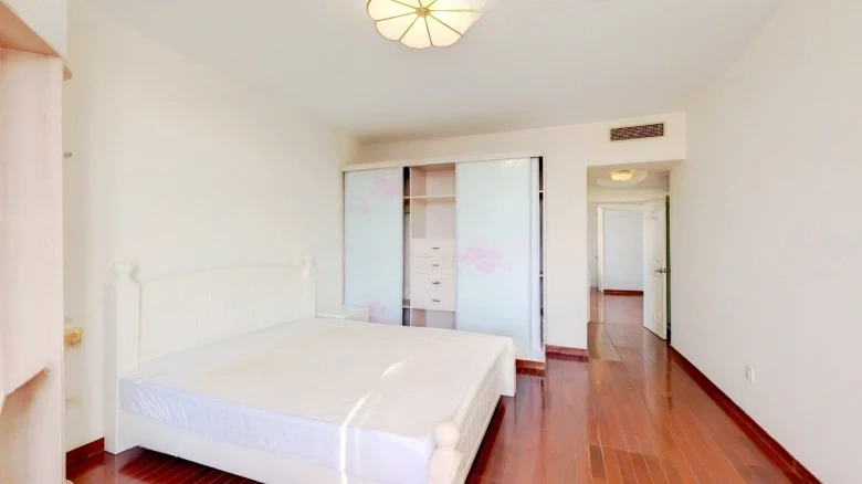 Stellar City International - View 4