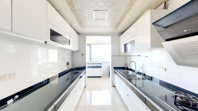 Prosperity Double Joy City - View 6