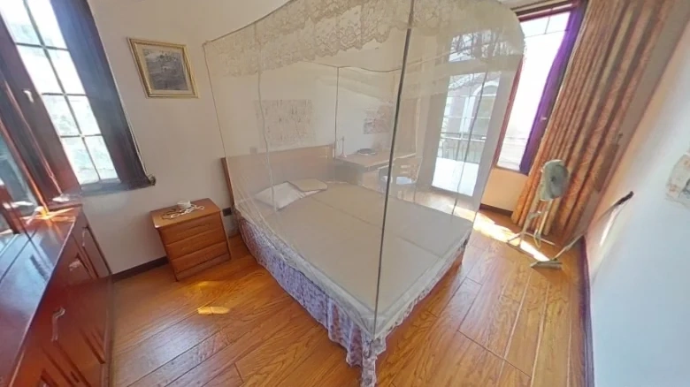 South Mountain Director Painting - View 2