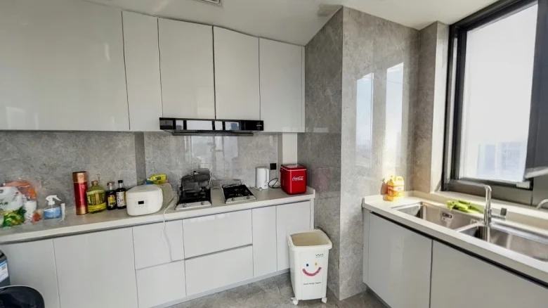 China Resources Yaaocheng South District - View 7