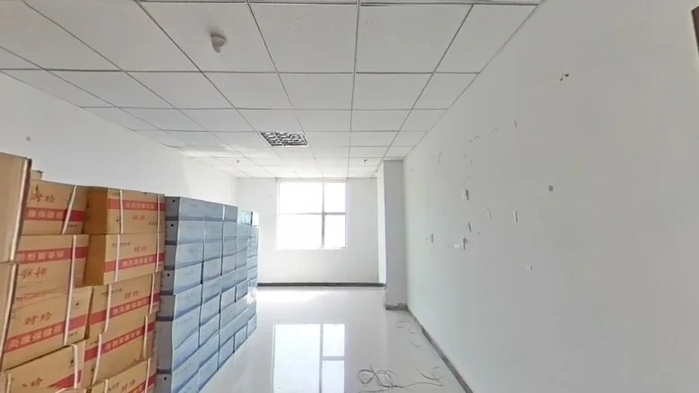 Austella Tower - View 2