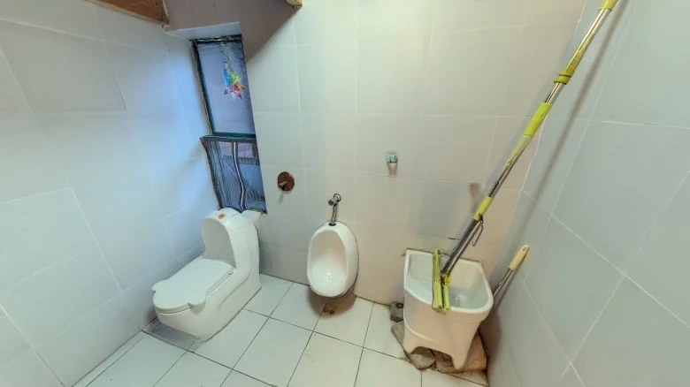 Beauty New World Golden Marvel Garden - View 9