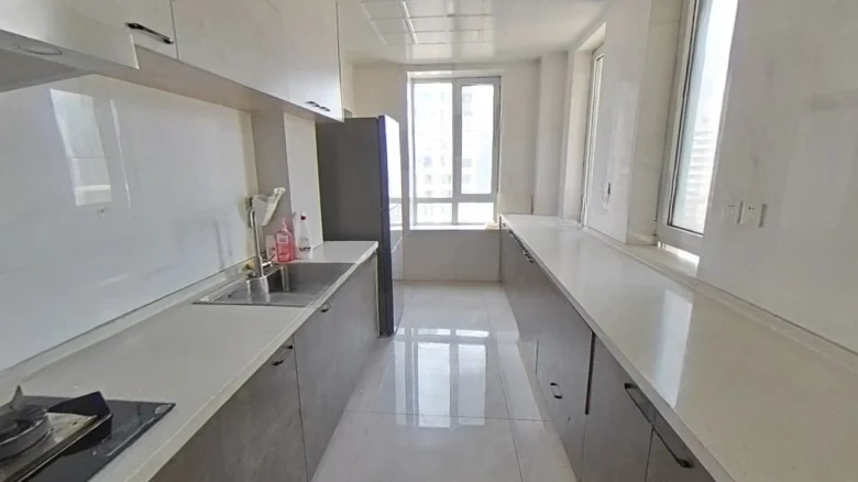 Shoukai Platinium Court - View 8