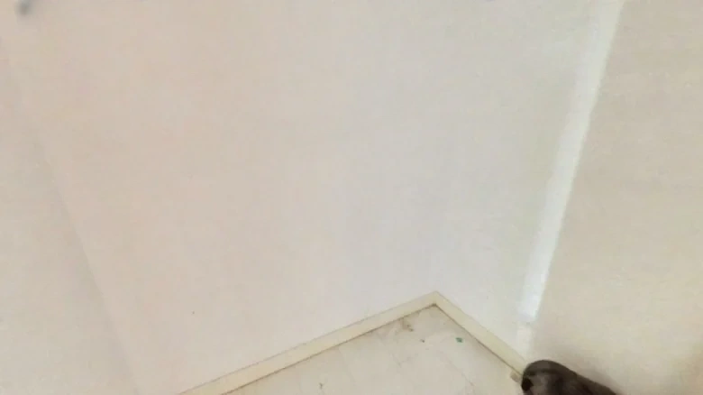 Bongtai Green Yard - View 17