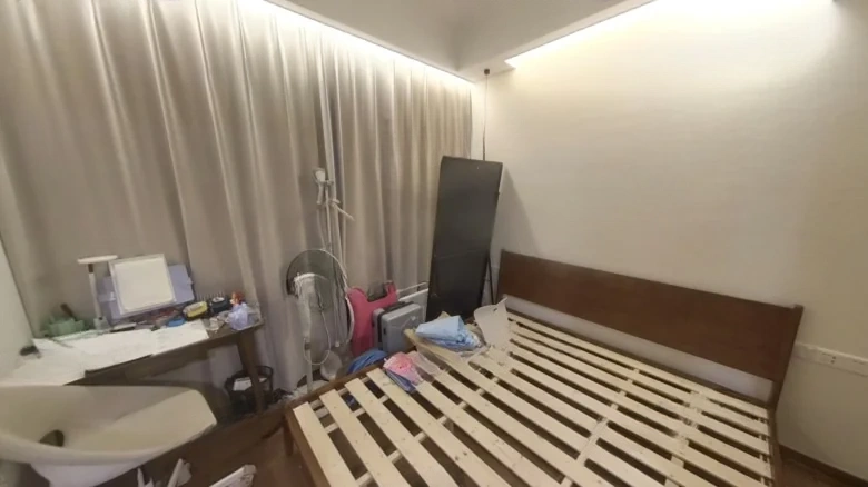 Harmony, Elegance, and Ode - View 2