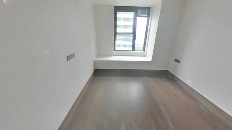 Swan Castle Garden - View 3