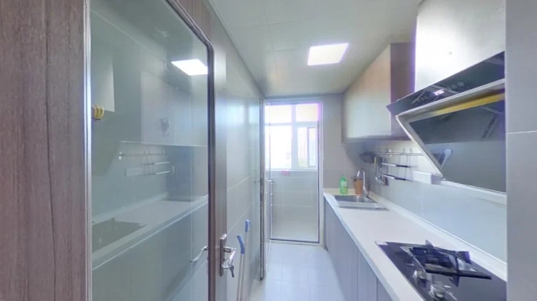 Hummbird Habitat - View 4