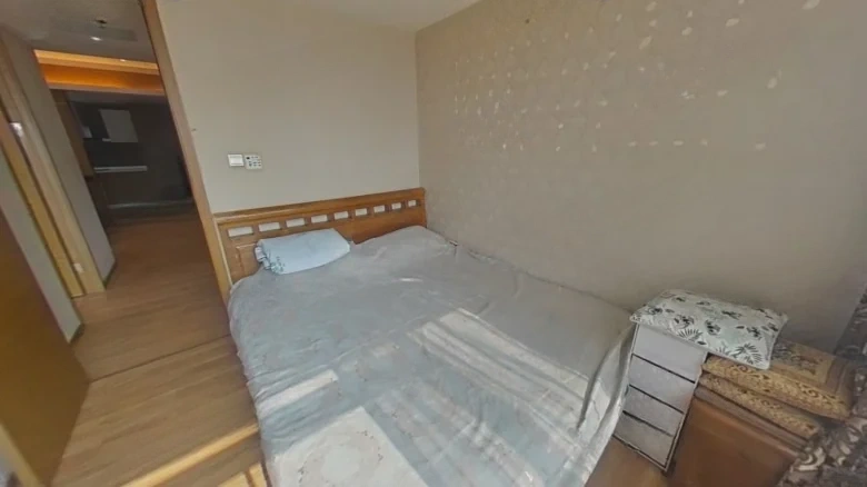 Shimao International Plaza - View 2