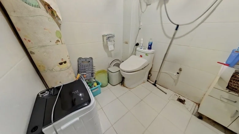 Houshyu Xin village - View 9