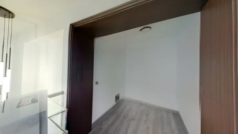 Ode to Joyfulness - View 2