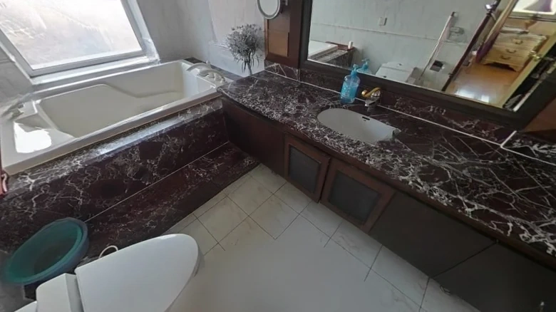 Starlit Sea National Treasure - View 12