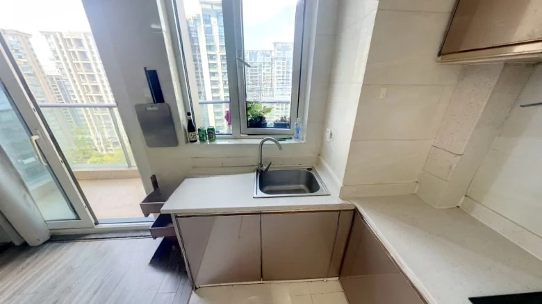 Xinsheng Oriental Mansion - View 9