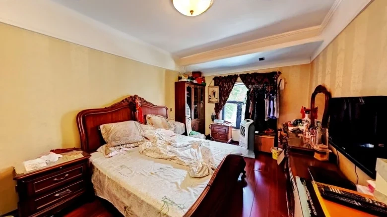 Central Garden New City Villa - View 2