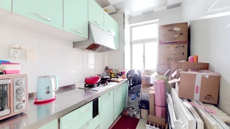 Golden Leader Family North District - View 4