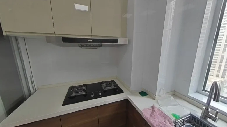 Poly Metropolis - View 9