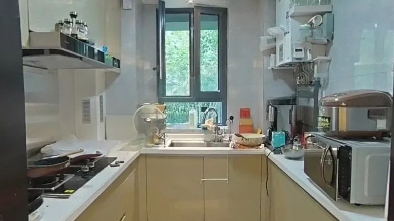 Jinlin Platinum Delight Mansion - View 7