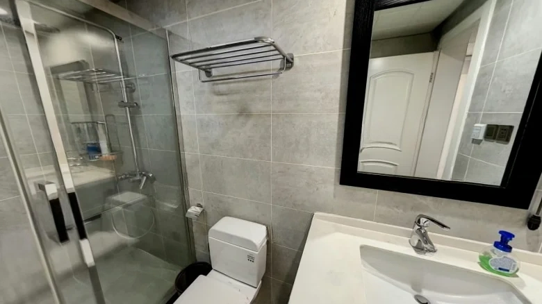 Benevolent Harmony Spring International Garden - View 9