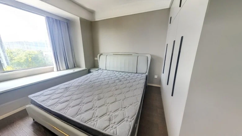 Olympic Beauty Construction - View 3